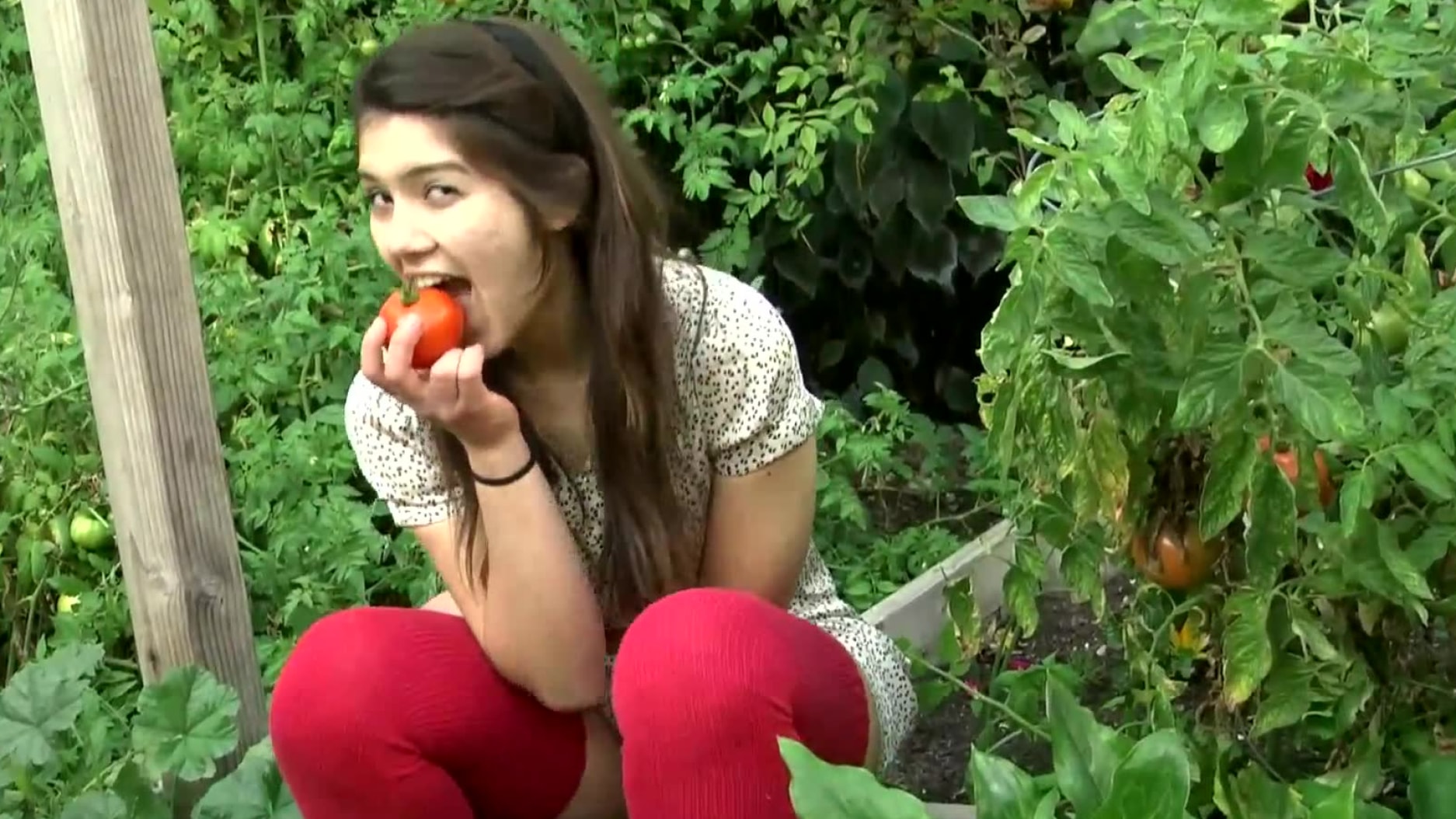 Felix in Her Private Garden
