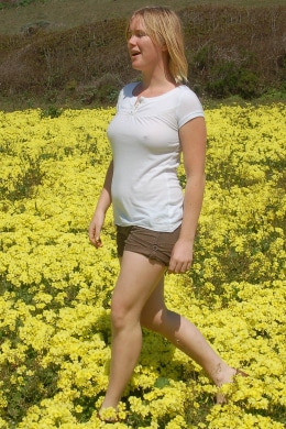 A field of yellow flowers