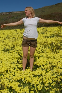 A field of yellow flowers