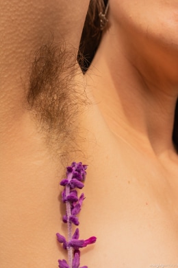 New Model: Caressa Silk