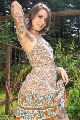 The Biggest Bush in my Garden